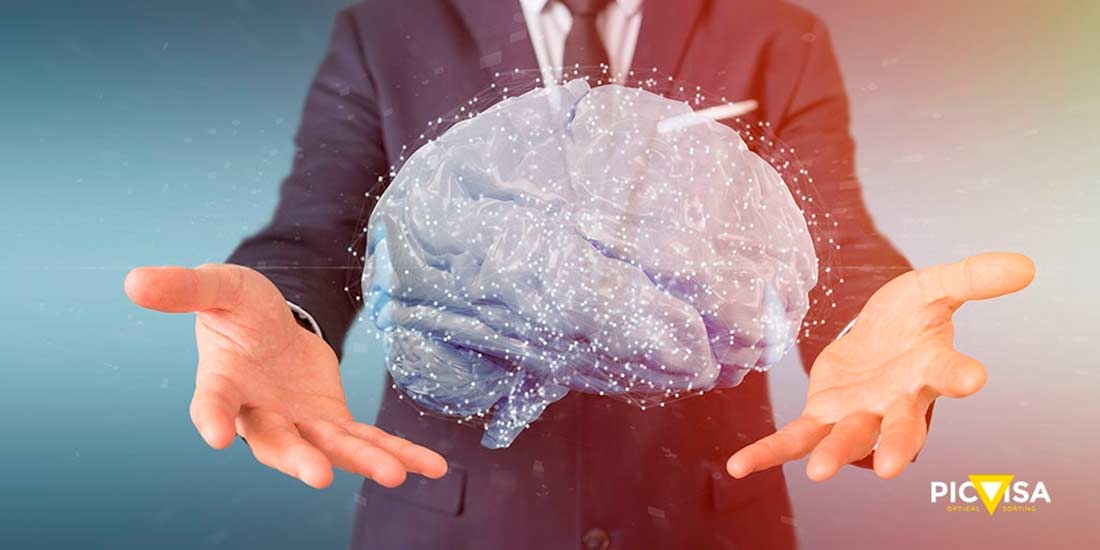 Deep Learning And His Role In Waste Management