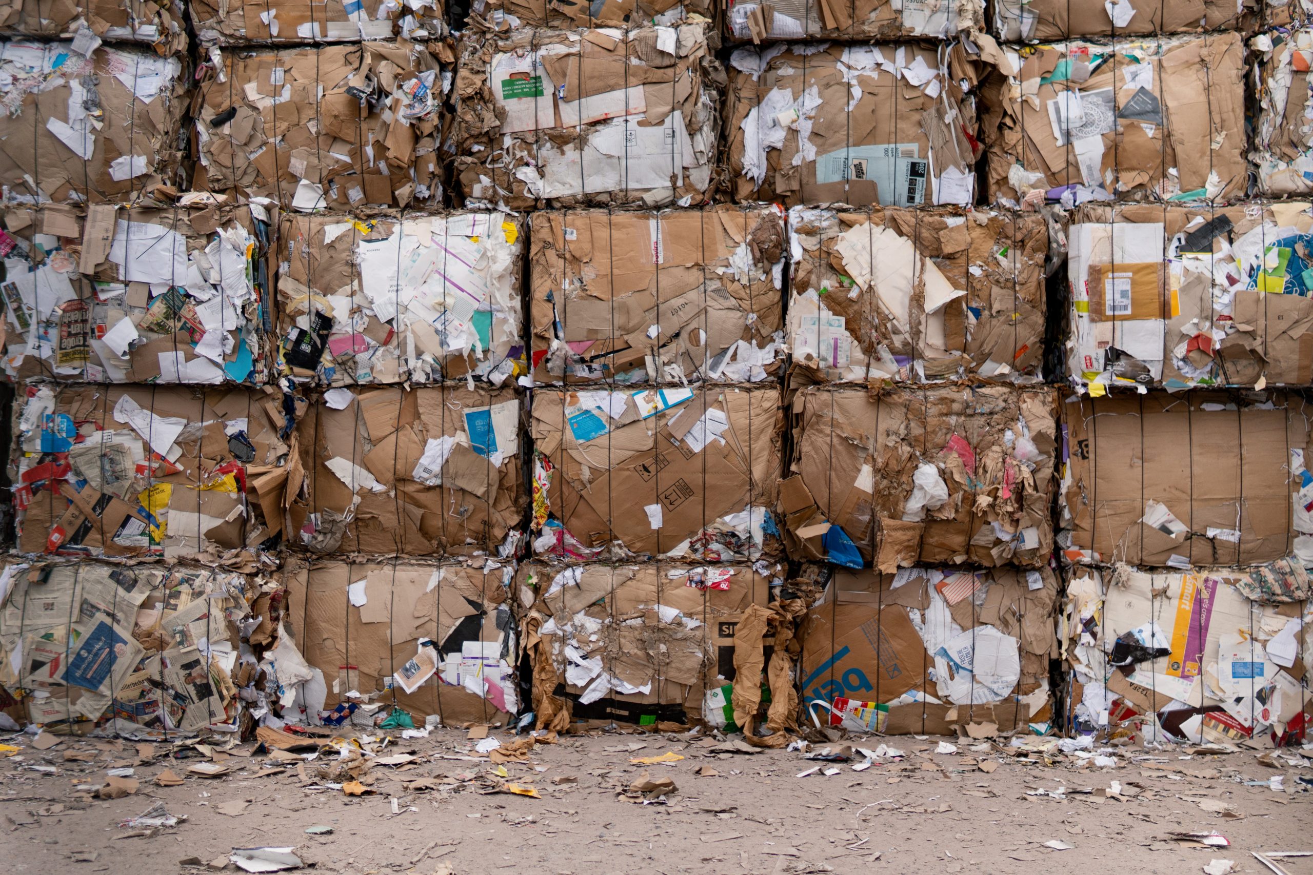 Understanding Waste Management Systems